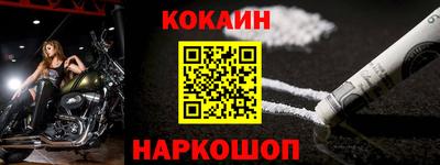 спайс Кингисепп