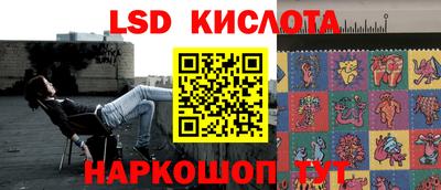 спайс Кингисепп