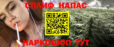 индика Кимры