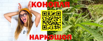 спайс Кингисепп