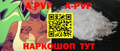 спайс Кингисепп