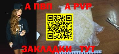 спайс Кингисепп