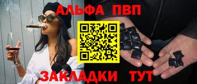 спайс Кингисепп