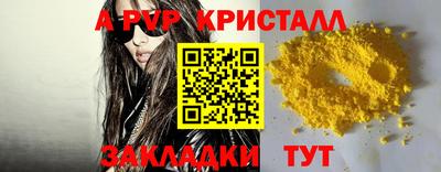 спайс Кингисепп